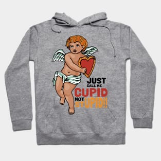 Just call me Cupid not Stupid!! Hoodie